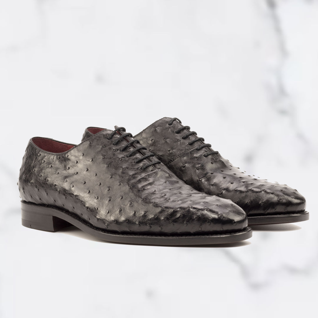 Ostrich - Wholecut Derby - Black - Luxury Footwear
