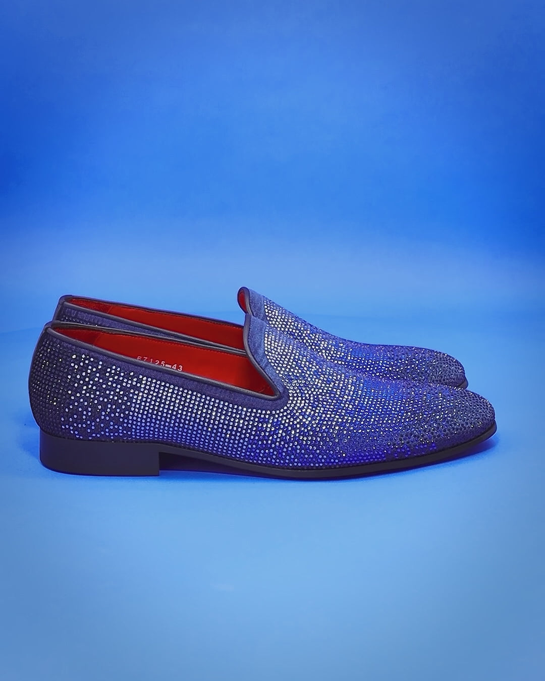 The Mandana Diamond Loafers - Blue