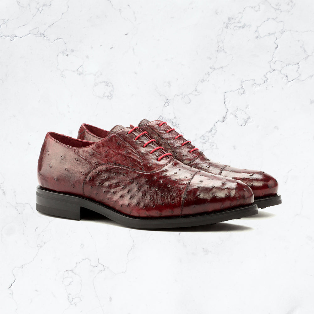 Genuine Ostrich Oxford - Dress III -  Premium Quality Shoes